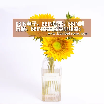 BBIN电子，BBIN登录，BBIN娱乐城，BBIN赛事