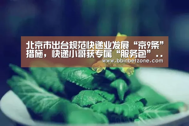 BBIN电子，BBIN登录，BBIN娱乐城，BBIN赛事