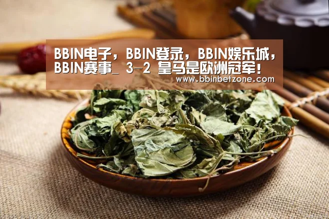 BBIN电子,BBIN登录,BBIN娱乐城,BBIN赛事_
3-2 皇马是欧洲冠军!劳尔率队缔造历史 首次染指欧青冠(图1) BBIN电子,BBIN登录,BBIN娱乐城,BBIN赛事