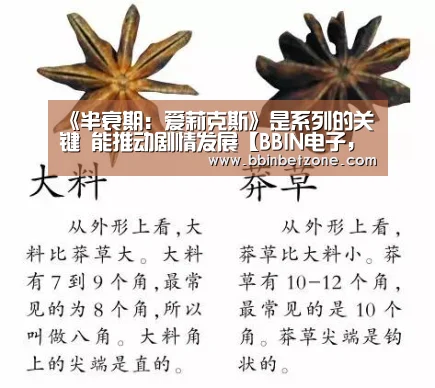 《半衰期:爱莉克斯》是系列的关键 能推动剧情发展【BBIN电子,BBIN登录,BBIN娱乐城,BBIN赛事】(图2) BBIN电子,BBIN登录,BBIN娱乐城,BBIN赛事
