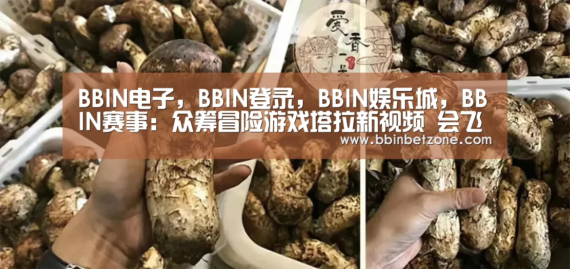 BBIN电子，BBIN登录，BBIN娱乐城，BBIN赛事