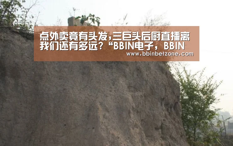 BBIN电子，BBIN登录，BBIN娱乐城，BBIN赛事